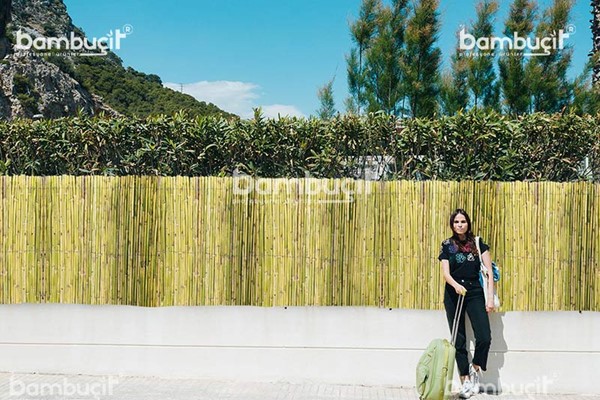 bambucit7