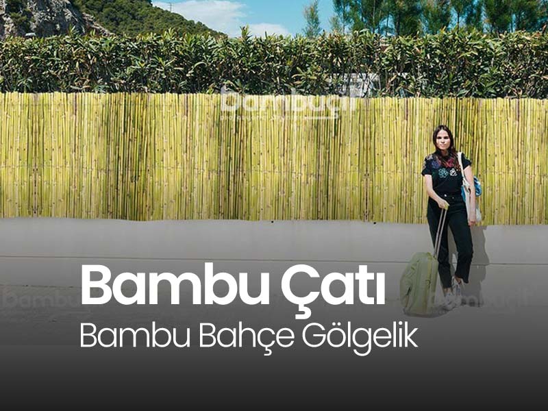 Bambu Bahçe Dekorasyon Uygulamaları