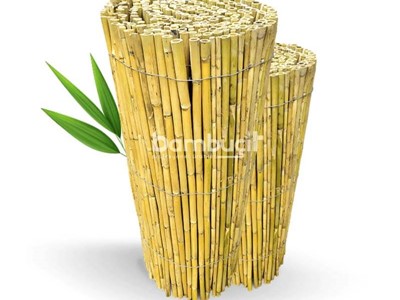 Bambu Çit