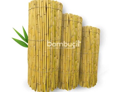Bambu Kamış