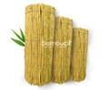 Bambu Çit