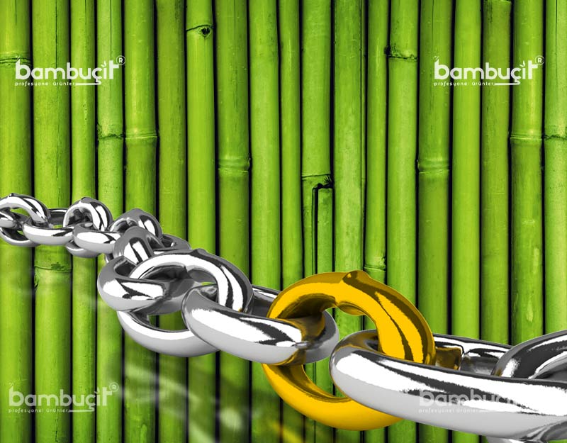 Bambu Ne Kadar Güçlüdür