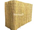 Bambu Kamış
