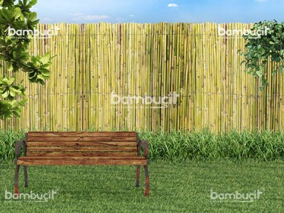 Bambu Çit
