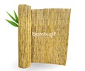 Bambu Çit