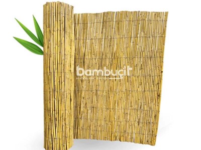 Bambu Çit