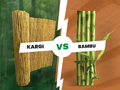 Bambu ve Kargı Arasındaki Farklar Nelerdir?