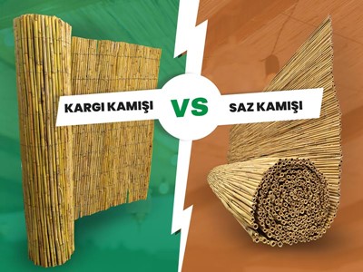 Kargı ve Saz Kamışı Arasındaki Farklar Nelerdir?